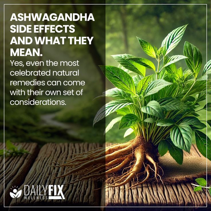DESCUENTO EXCLUSIVO POR HOY! ASHWAGANDHA™ - Reduce el Estrés - Mejora el Sueño - Reduce el Cortisol